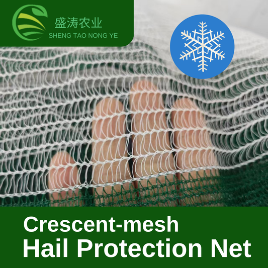 Hail Protection Net Bird Protection Net Apple Orchard Grape Orchard Vineyard Anti-oxidation Mesh Netting Farmland / Agricultural Field Horticulture Protective Netting