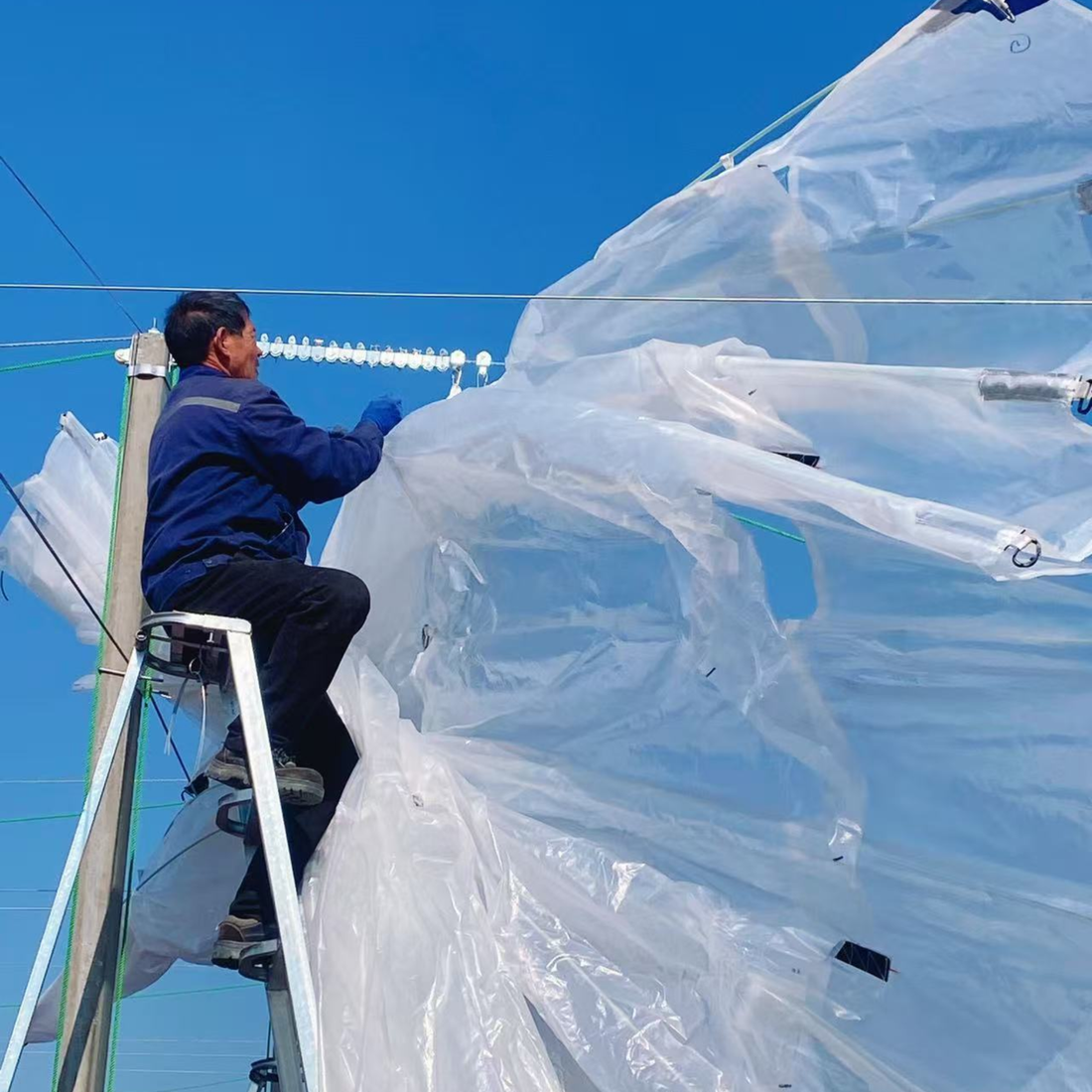 Rain Alert: Why New Zealand Cherry Growers are Transitioning to Advanced Rain Shelter Systems