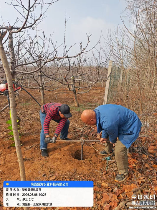 Orchard Rain Shelter Installation Diary: Ground Anchors and Posts – The First Step to a Stable, Productive Orchard