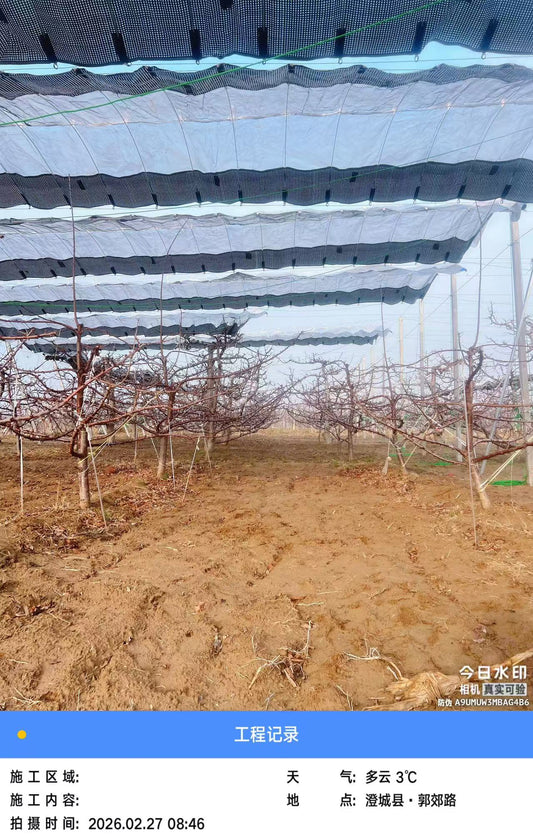 Protecting Citrus at the End of the Ripening Season in Europe