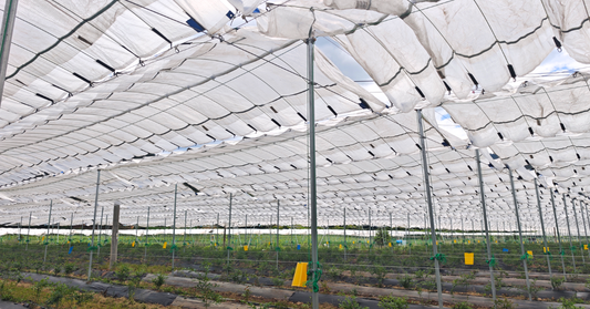 The Orchard Infrastructure Matrix: Engineering Tree Covers for Climate Resilience