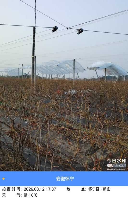 Agrivoltaics 2.0: Engineering the Carbon-Neutral Apple Orchard of 2026