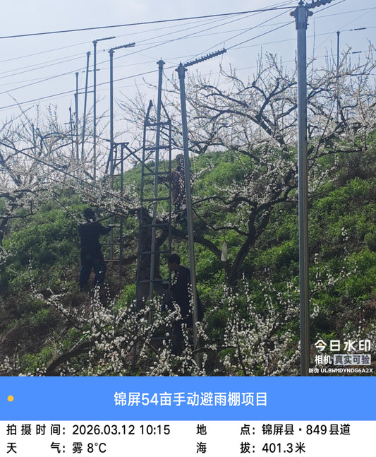 Pathogen Exclusion: Engineering Rain Shelter Tunnels for Zero-Defect Apple Production