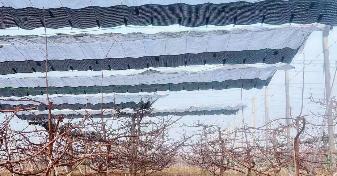 Molecular Resilience: The Polymer Science of High-Tenacity Orchard Netting