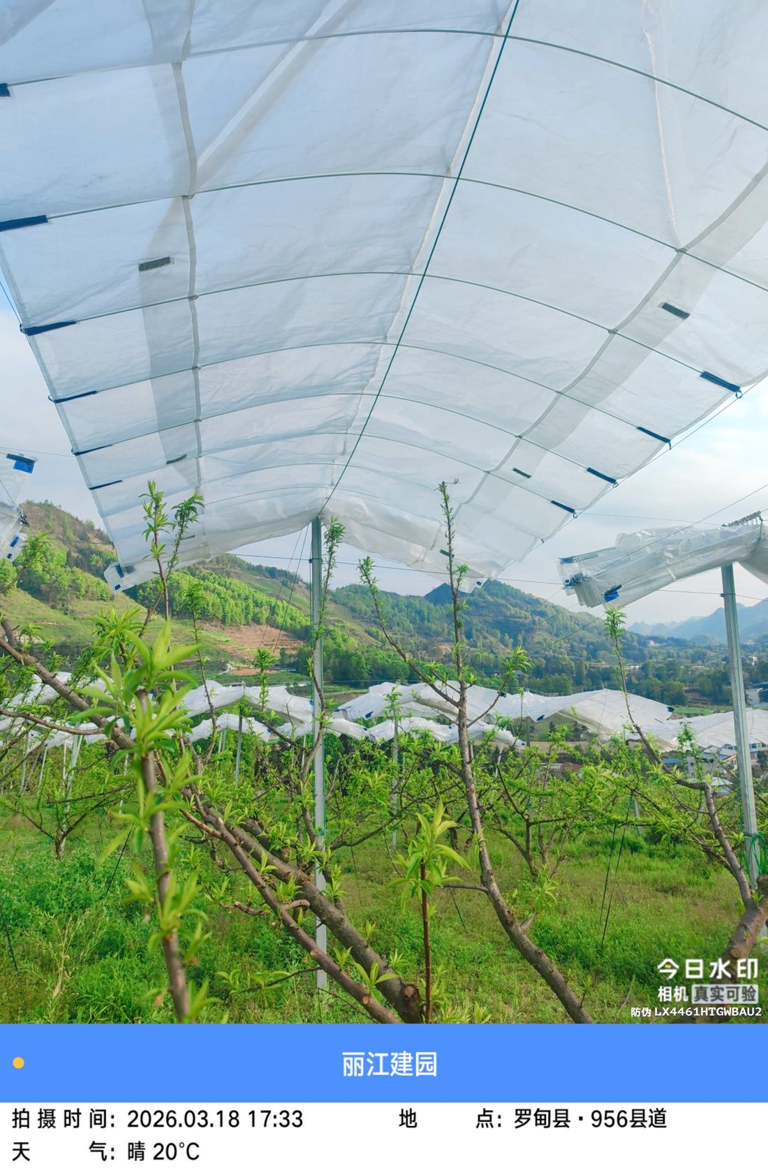 Kinetic Infrastructure: Engineering the All-Season Orchard Netting System for 2026