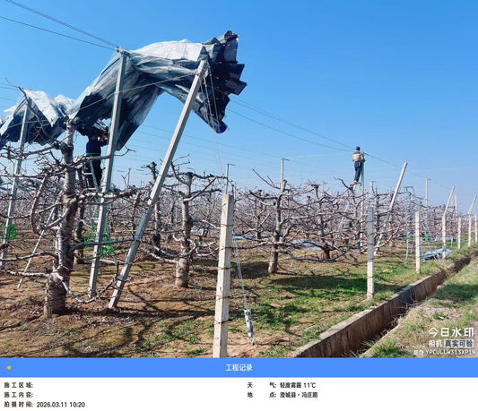 Biosecurity for Export: Engineering Anti-Insect Barriers Against Drosophila suzukii in Chile