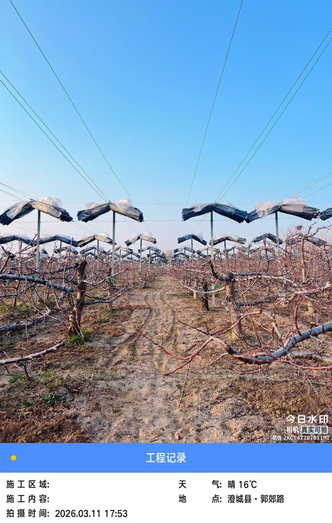 Retractable Rain Covers for Small Orchards | Flexible Crop Protection