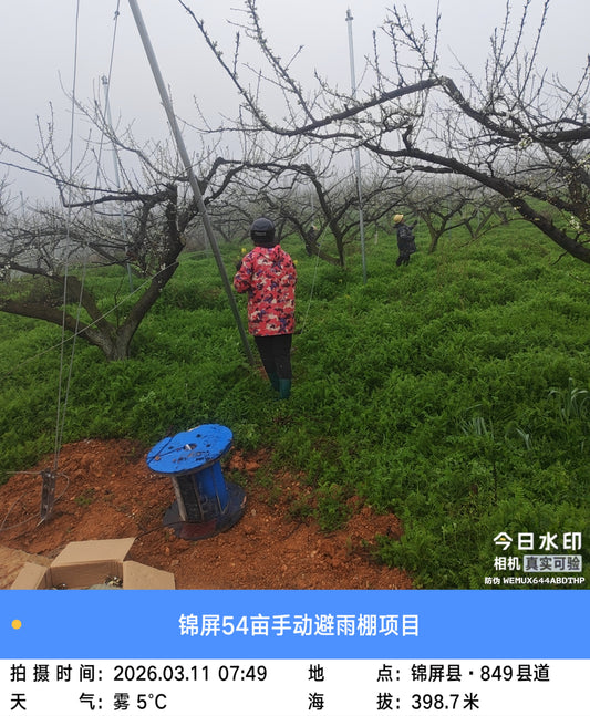 Engineering the Export Grade: The Technical Superiority of Y-Type Rain Shelters for Chilean Blueberries