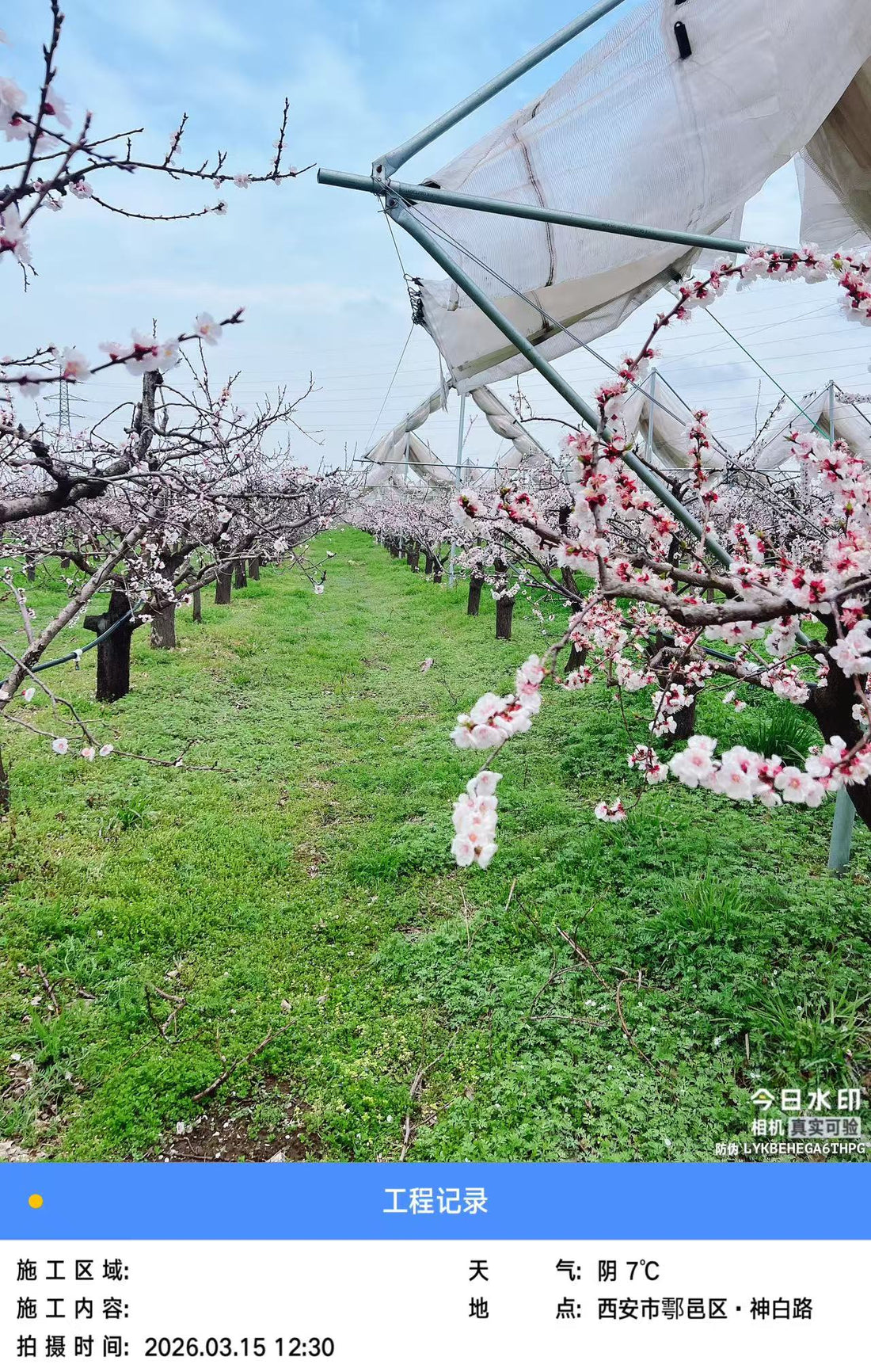 Kinetic Infrastructure: Engineering the All-Season Orchard Netting System for 2026