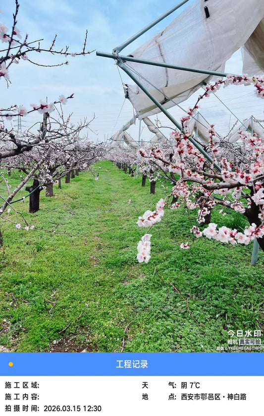 Kinetic Infrastructure: Engineering the All-Season Orchard Netting System for 2026