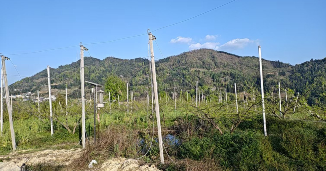 Structural Integrity: The Professional Guide to Orchard Netting Installation &amp; Lifecycle Management