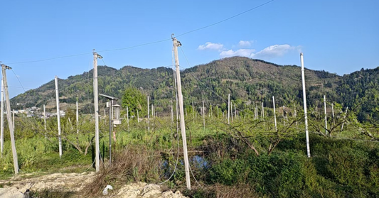 Structural Integrity: The Professional Guide to Orchard Netting Installation &amp; Lifecycle Management