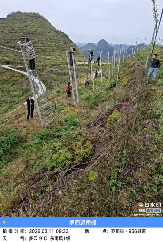 Engineering Dual-Layer Protection for Chilean Export Orchards