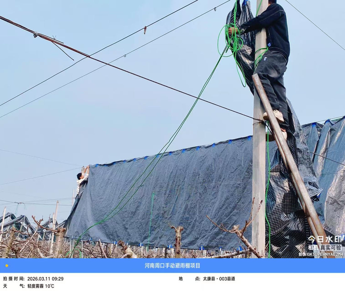 Sustainable Exclusion: Engineering High-Tenacity Bird Netting for European Orchards