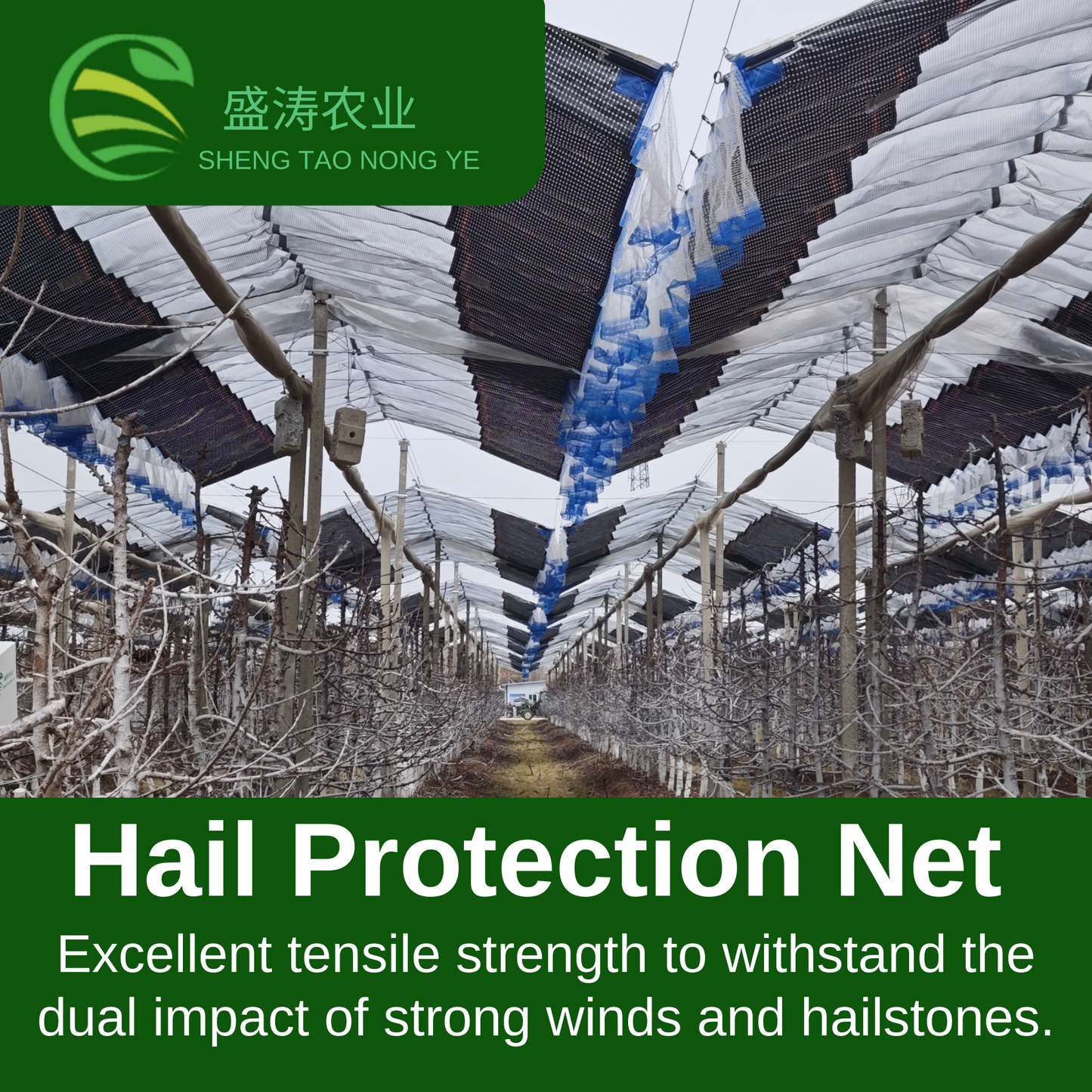 Hail Netting for Gardens Apple Orchard Grape Orchard Vineyard Farmland / Agricultural Field Horticulture Protective Netting