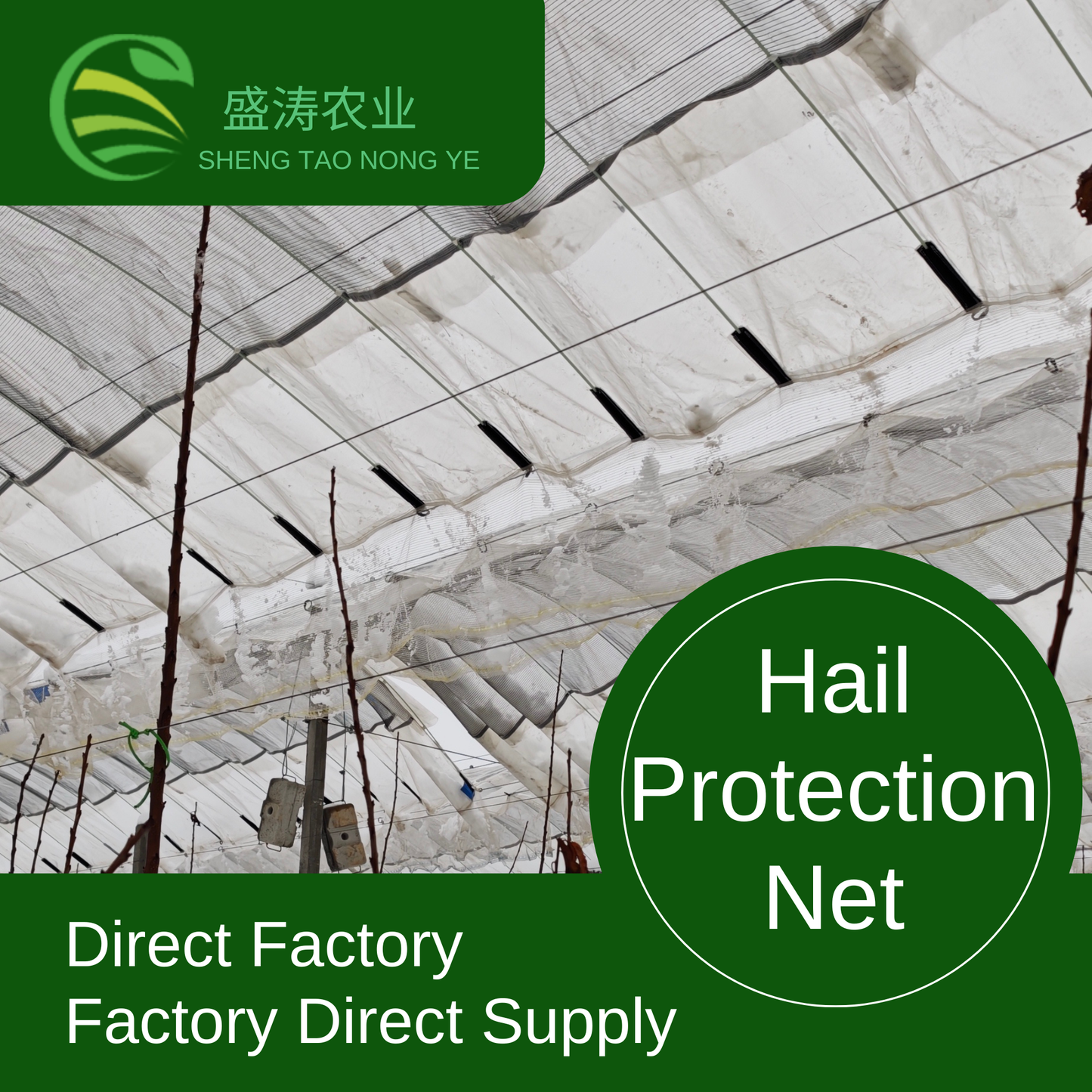 Hail Netting for Gardens Apple Orchard Grape Orchard Vineyard Farmland / Agricultural Field Horticulture Protective Netting