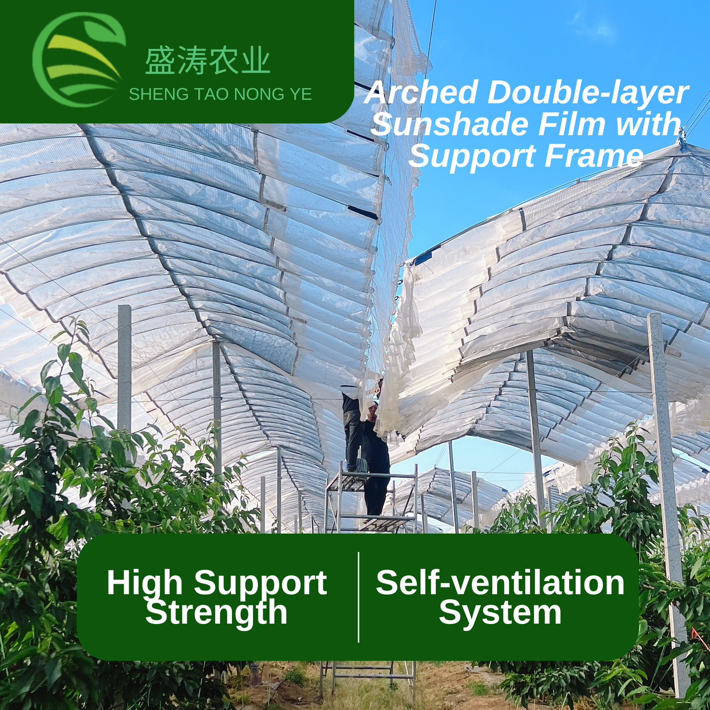 Arched with Support Frame Full-Automatic Double-Layer Rain Shelter Sun Protection