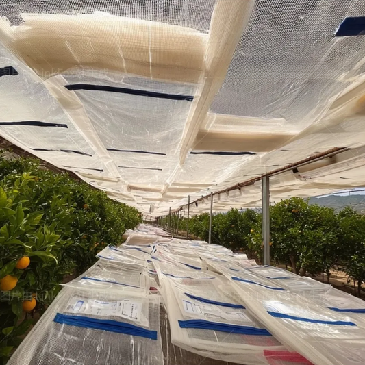 Arched with Support Frame Full-Automatic Double-Layer Rain Shelter Sun Protection