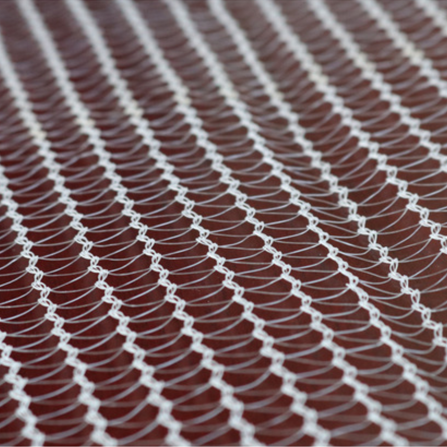 Hail Netting for Gardens Apple Orchard Grape Orchard Vineyard Farmland / Agricultural Field Horticulture Protective Netting