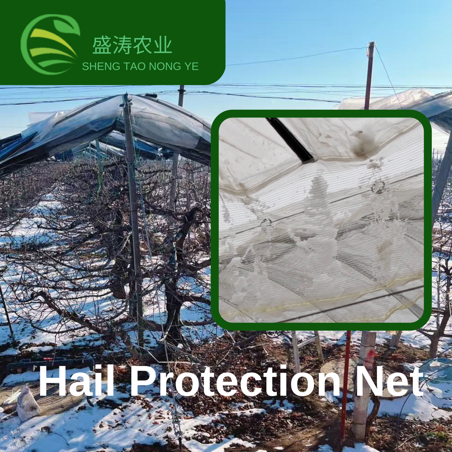 Hail Netting for Gardens Apple Orchard Grape Orchard Vineyard Farmland / Agricultural Field Horticulture Protective Netting