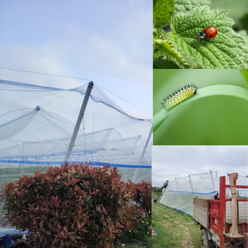 Greenhouse Insect Netting Anti-insect Net