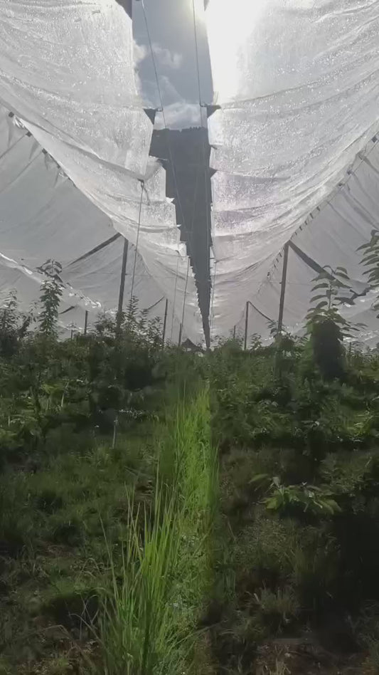 Full-Protection Outdoor Farming Shelter Systems